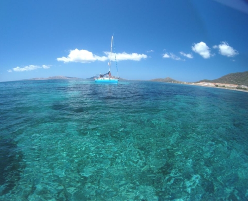 Vista panoramica di una cala con acqua trasparente nel Parco Nazionale dell'Asinara.